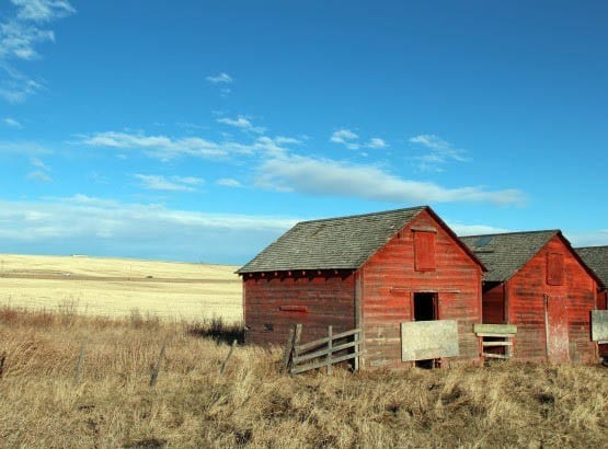 Calgary south 042 "Old outbuildings along Highway 21A"