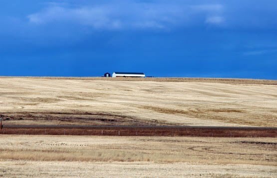 Calgary south 050 "Dramatic colour contrasts of fields and skies"