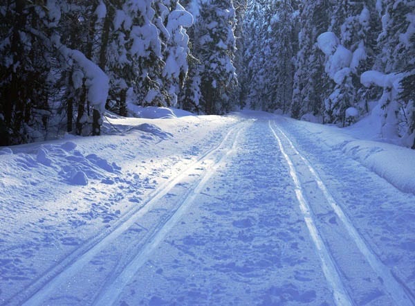 Lake Louise Cross Country Skiing: Fairview & Tramline Trails Lake Louise skiing 091 Lake Louise Cross Country Skiing: Fairview & Tramline Trails