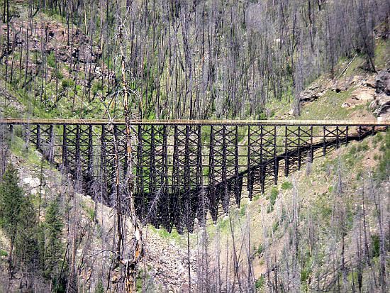 Kettle Valley 031 "Trestle close up with blackened trees"