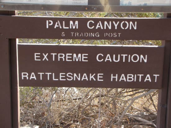 "Rattlesnake Warning"