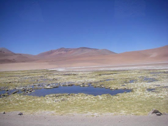 Chile-Agentina 2011 - Pentax 143 "The Altiplano in northern Chile"