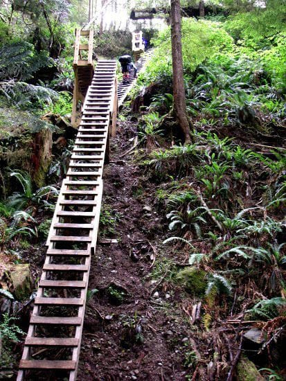 West Coast Trail - August 2008 022 "One of the many ladders on the West Coast Trail"