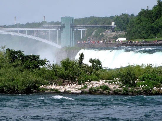 IMG_0542 "Crowds on the New York side of Niagara Falls looking over"