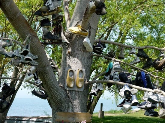 Pelee Island 111 "The Shoe Tree"