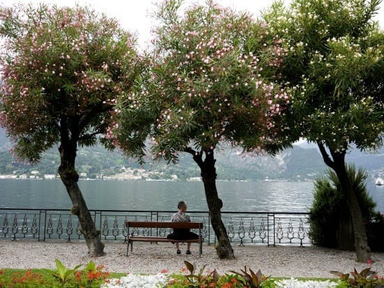 Summer 2011 804 "Watching the world go by on Lake Como"