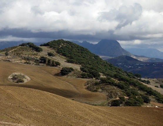 "Nice scenery on the way to El Torcal"