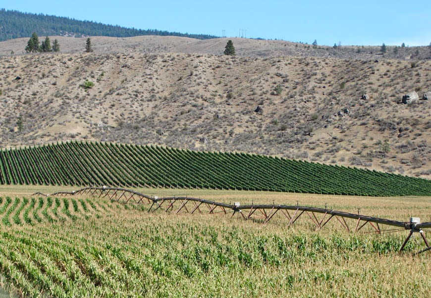 Biking the Kettle Valley Railway in the Okanagan