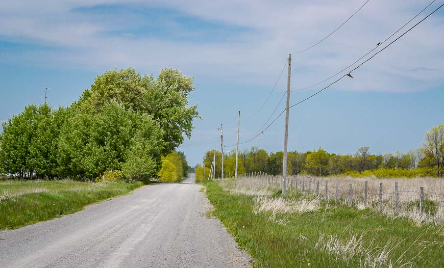 Biking Wolfe Island with some roads like this totally empty