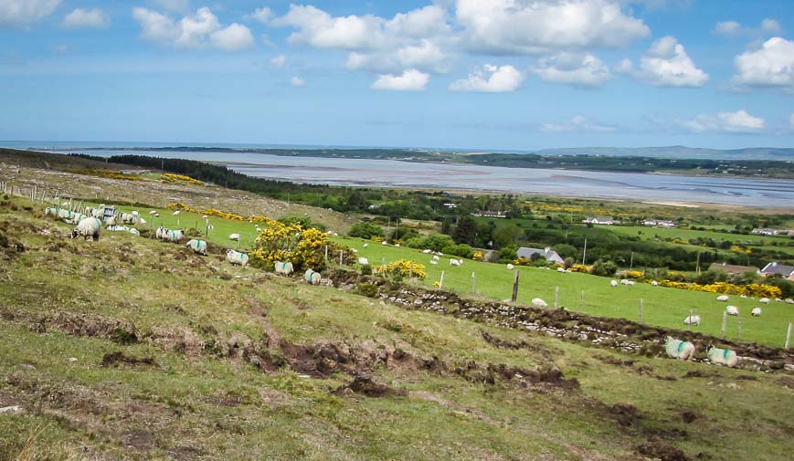 Views over Tralee Bay on the first day of walking on the Dingle Way