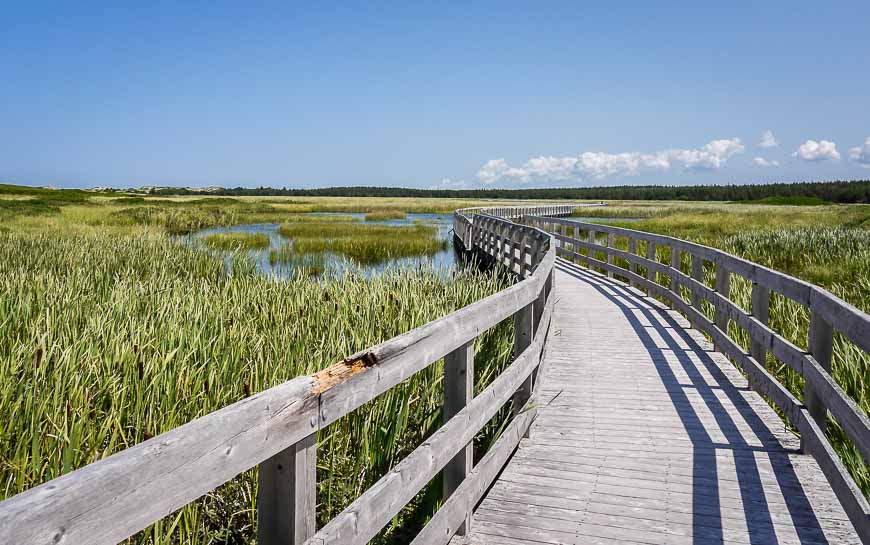 Boardwalks through the Greenwich section of PEI Nat'l Park