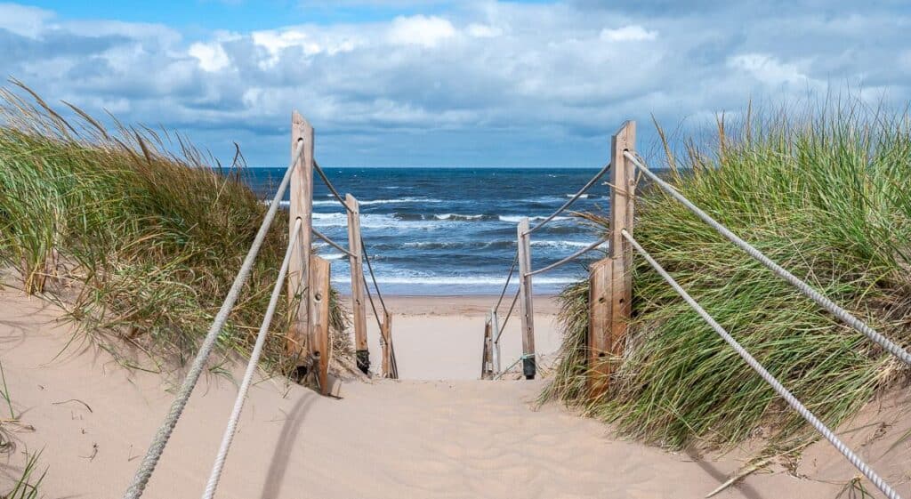 The last few steps to Greenwich Beach in Prince Edward Island National Park