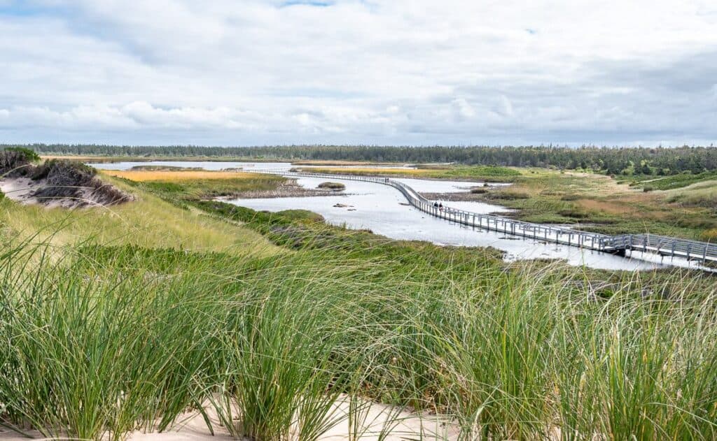 A beautiful floating trail takes you to Greenwich Beach in Prince Edward Island National Park