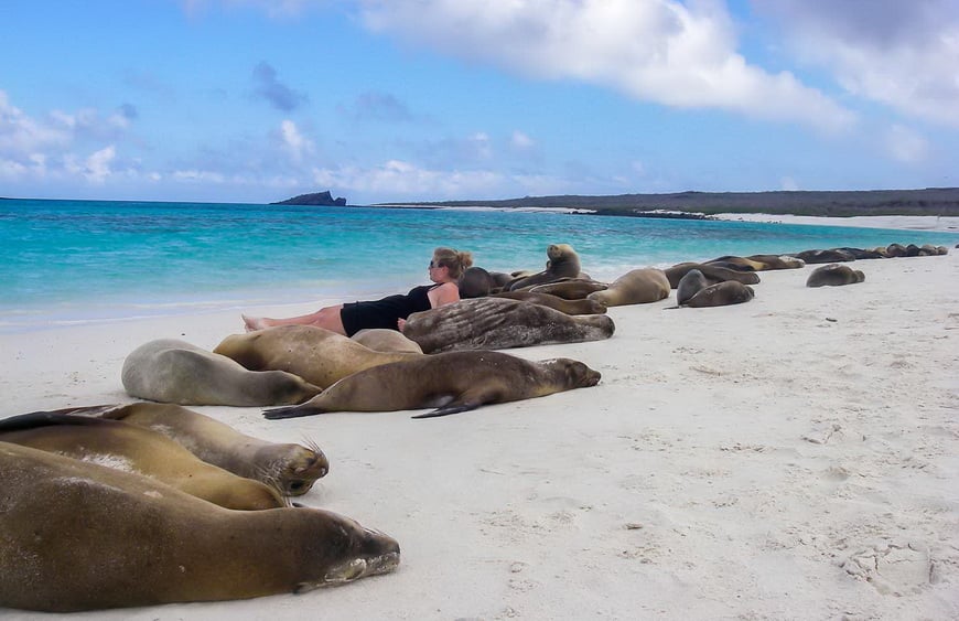 Hanging out with the sea lions