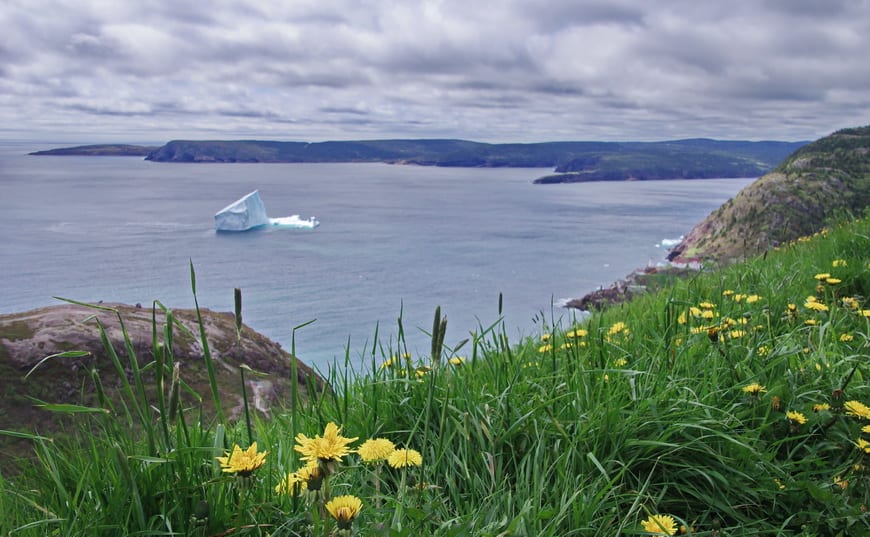 Catching the icebergs on a June day