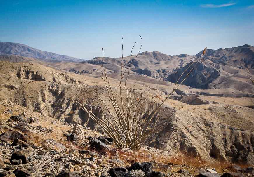 Hiking in the Mecca Hills