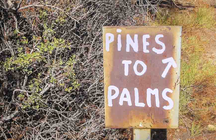 The start of the Pines to Palms Trail