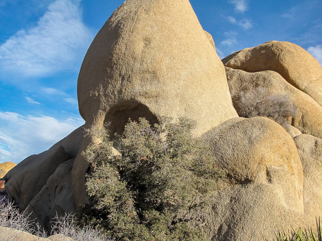 Skull Rock in Joshua Tree National Park