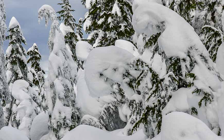 Lots of snow for snowshoeing at Grouse Mountain