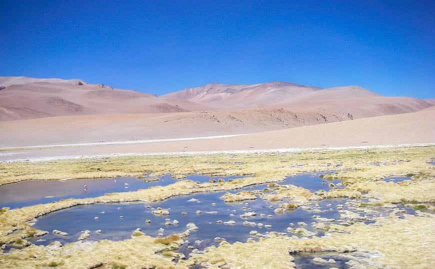 The Altiplano in northern Chile