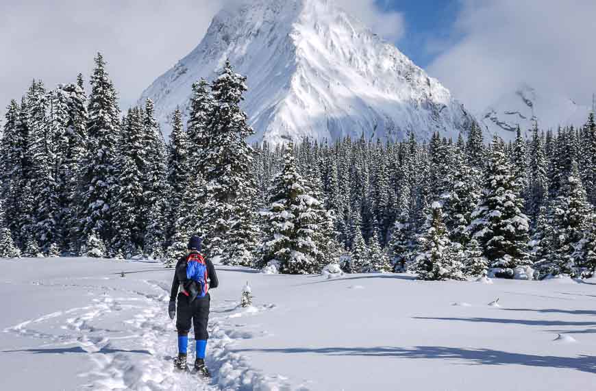 Into some glorious country on the snowshoe to Chester Lake