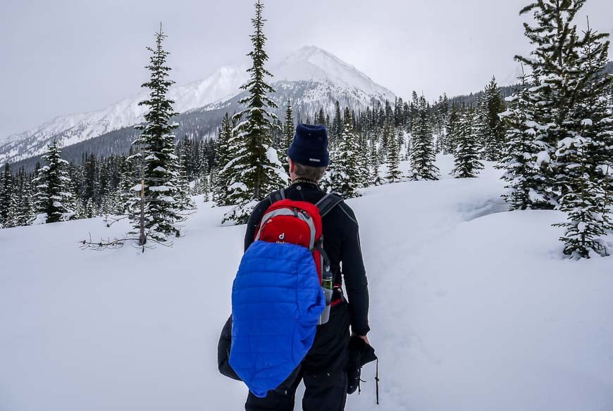 Wanting to go snowshoeing to mountain lakes and trying to find the trail to Rummel Lake - buried under a dump of snow