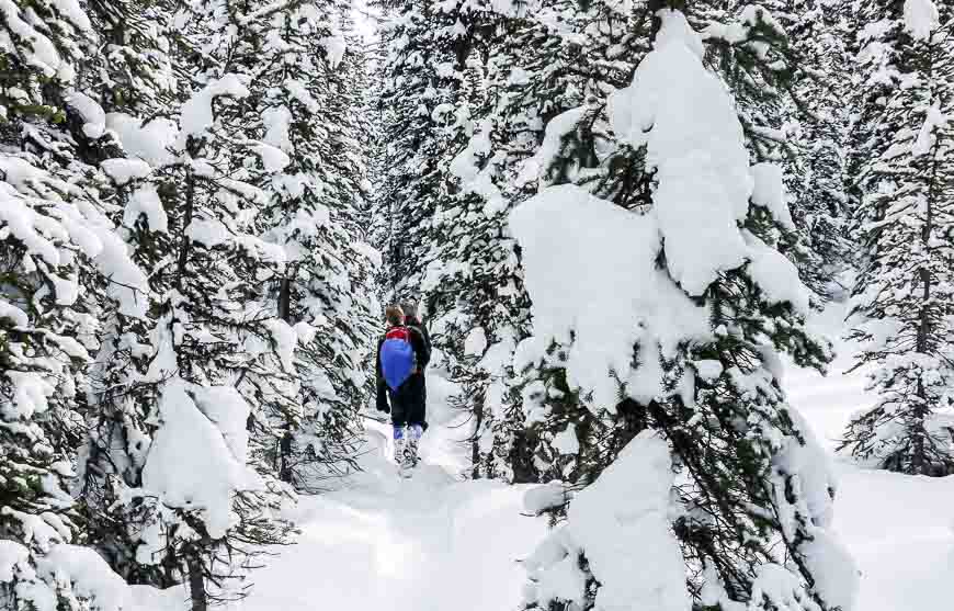 Massive amounts of snow on the Rummel Lake trail