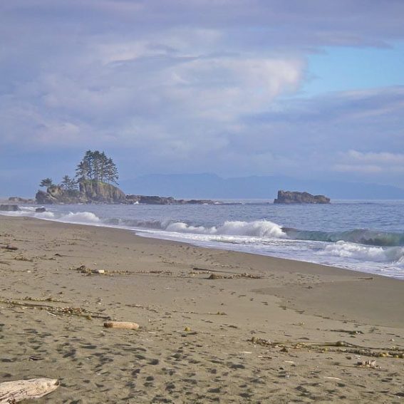 One of the beautiful beaches on the West Coast Trail