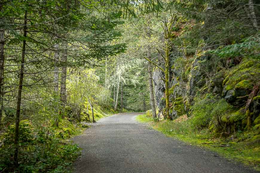 A pretty section of the Galloping Goose Trail near Sooke