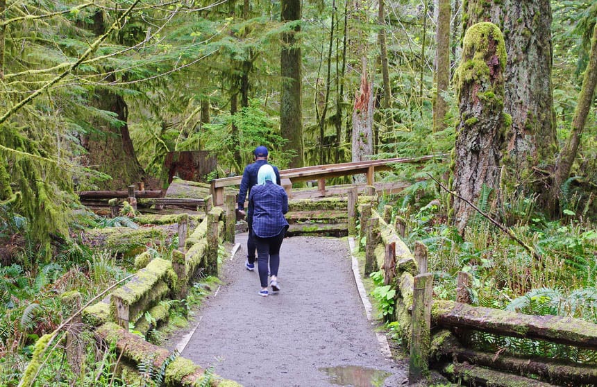 Hiking in Cathedral Forest