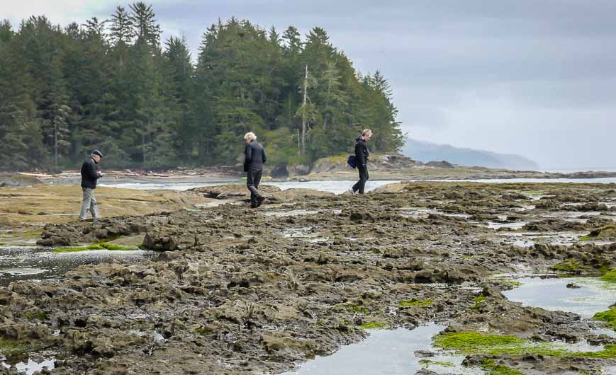 Exploring the tide pools