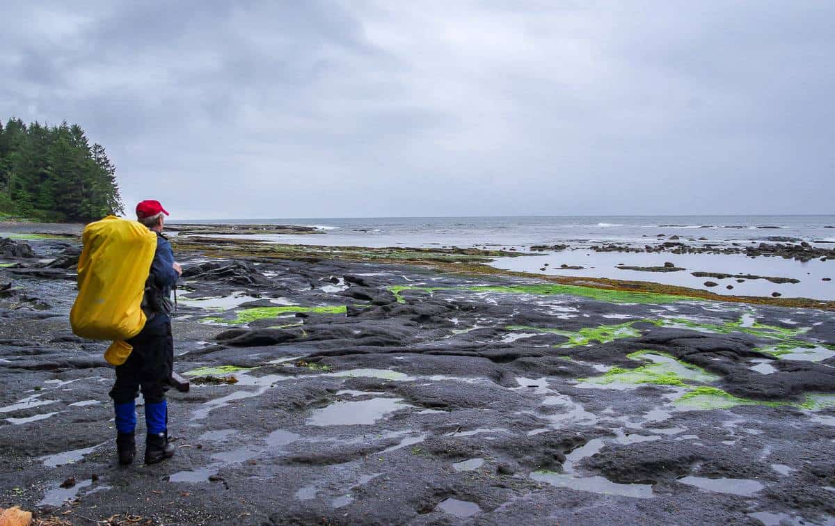 Hikers on the Juan de Fuca trail will either start or finish at Botanical Beach