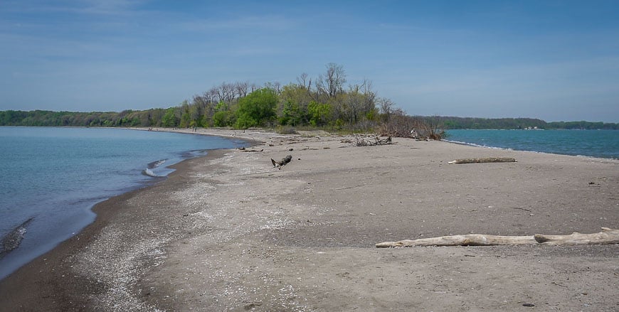 The view from Fish Point - just a few miles from the southernmost point in Canada