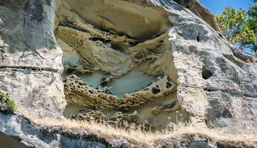 Very interesting honeycombed rock formations in Very interesting honeycombed rock formationsthe cliff