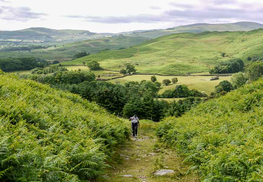 Through the Lake District