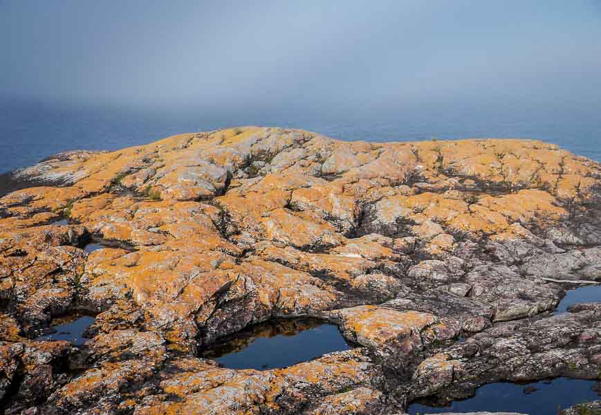 The rocks and lichen of Davieaux Island