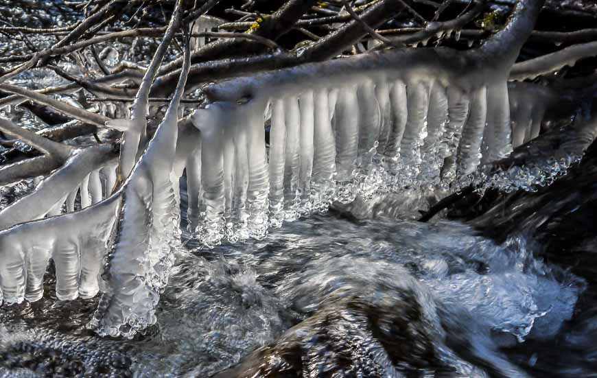 Early season icicles seen on the Lillian Lake hike Alberta