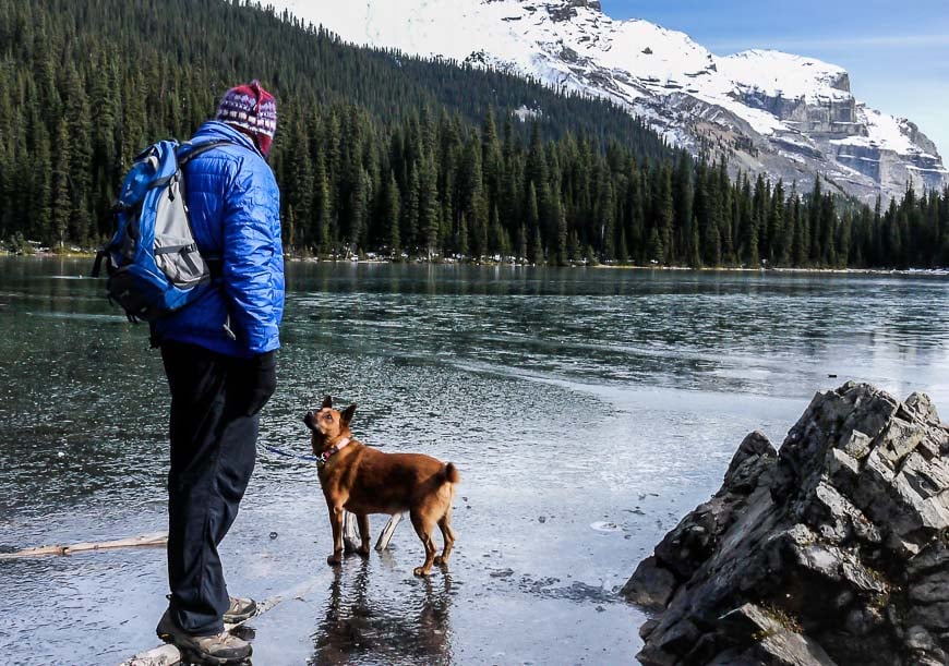 My Caribbean dog didn't know what to make of the ice