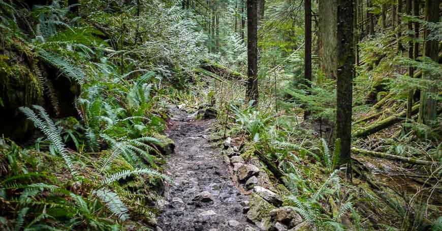 Parts of the trail can be very muddy