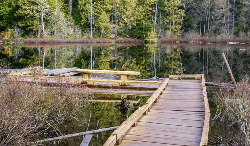 The dock at Whyte Lake