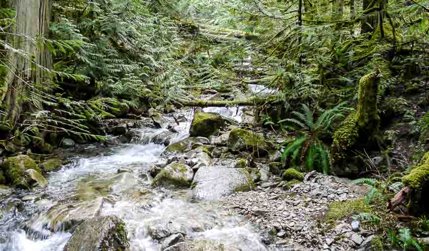 There's never a shortage of water along the Whyte Lake Trail