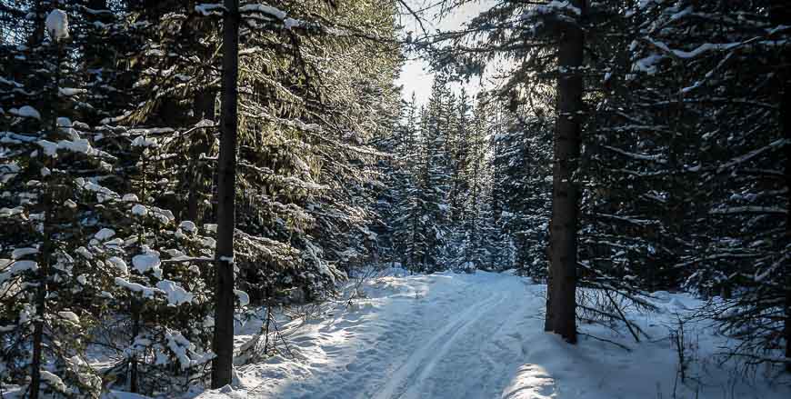 Blueberry Hill cross-country skiing