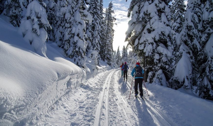 Peter Lougheed cross country skiing