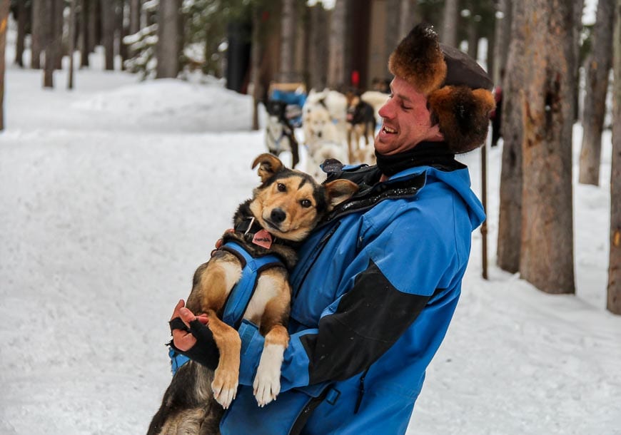 Dog sledding in Canmore with the sled dog Honda, and a guide