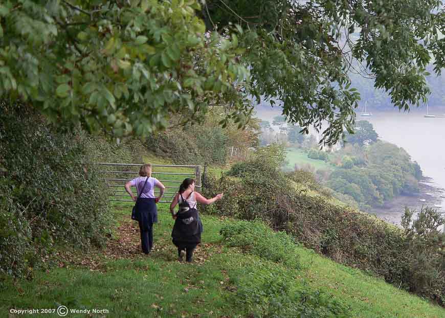 Coastal walking at Dittisham on the Dart Valley Trail