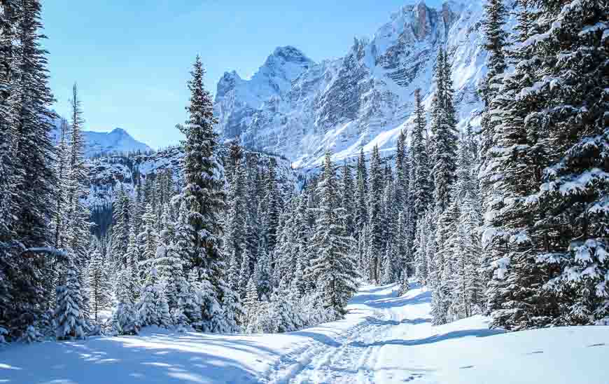 On a bluebird day the skiing around Lake Ohara Lodge is sublime