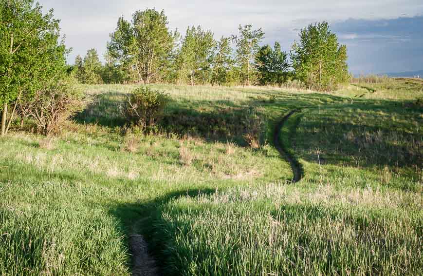 Paths wind through Nose Hill Park