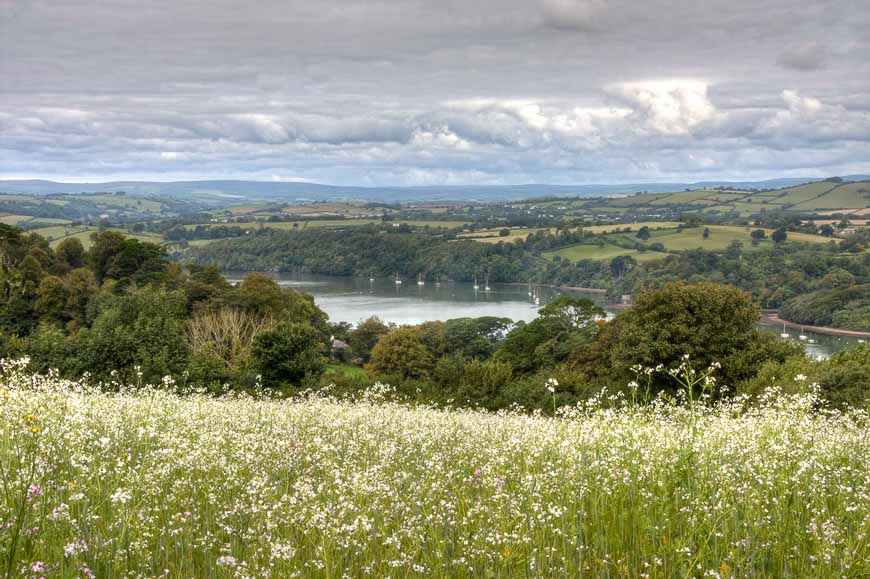 View over the River Dart