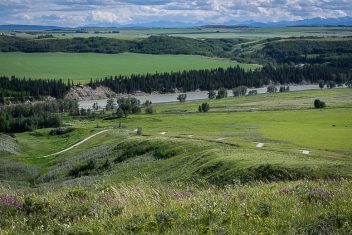 Glenbow Ranch Provincial Park is so green in June