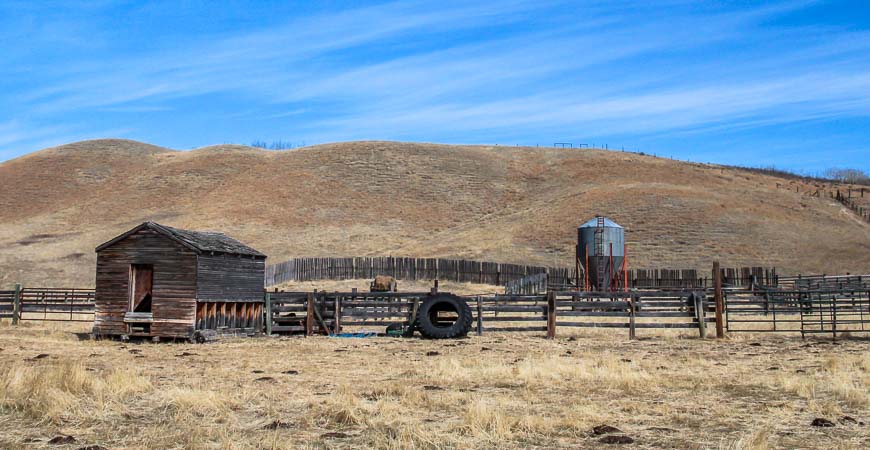 Glenbow Ranch is home to old ranch buildings